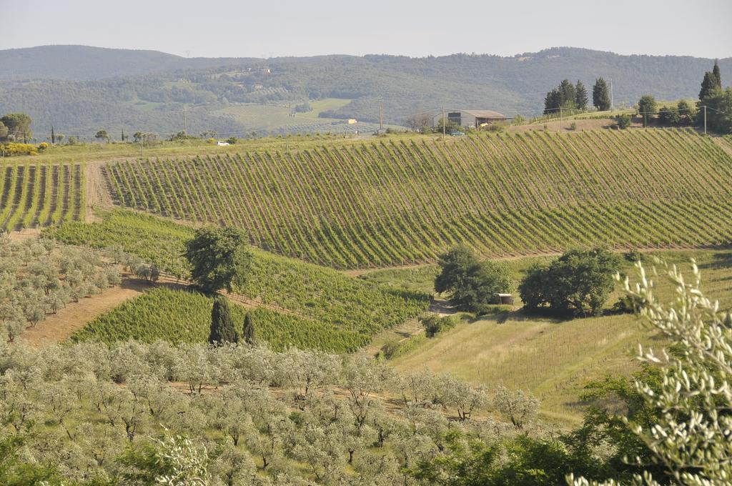 Agriturismo Renai E Monte II Gambassi Terme Dış mekan fotoğraf
